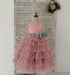Cathy Dress Flower Girls' Dresses Anhui Bidier Garment Manufacturing Co., Ltd. 2 years mauve
